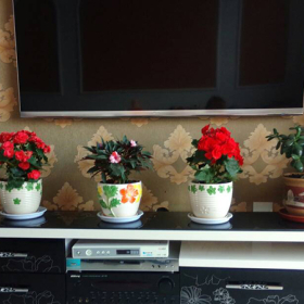 5 vật dụng không nên để cạnh tivi